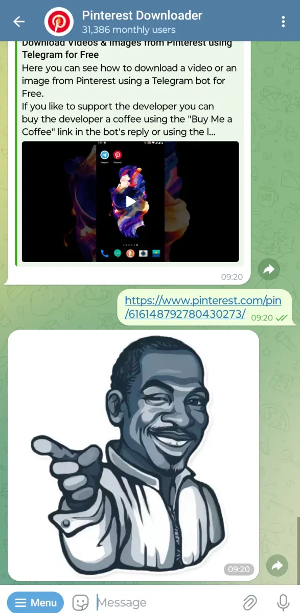 Pinterest Downloader preview 1