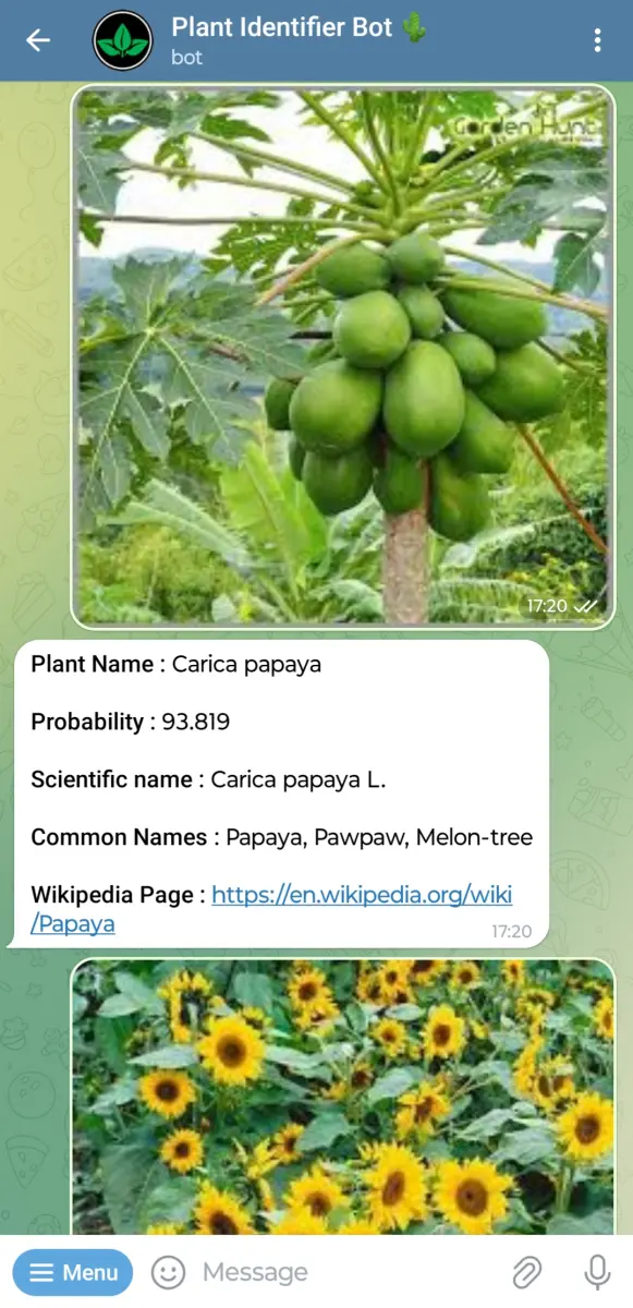 Plant Identifier Bot 🌵 preview 1