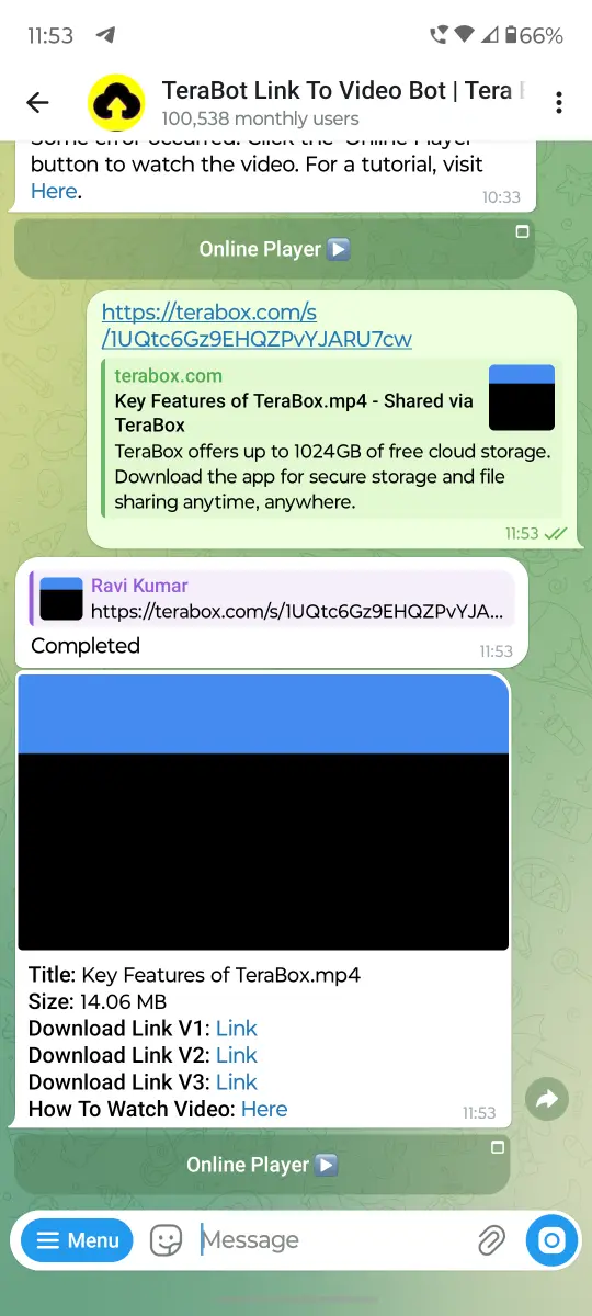 TeraBot Link To Video Bot preview 1
