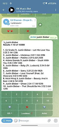 VK Music Bot preview 3